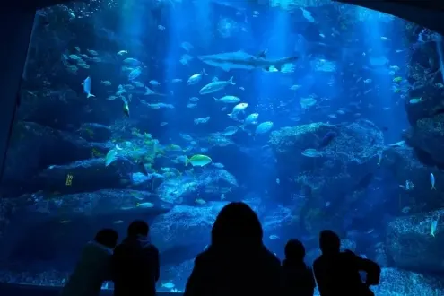 Tokyo Skytree and Sumida Aquarium