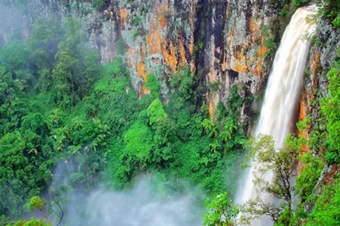 Natural Bridge and Springbrook Waterfalls Tour