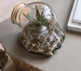 Star Wars Original Stormtrooper Terrarium.
