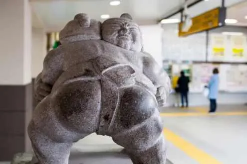 Sumo Street Walking Tour with Veteran Wrestler