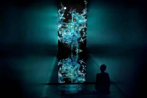 Admission Ticket at teamLab Planets Toyosu