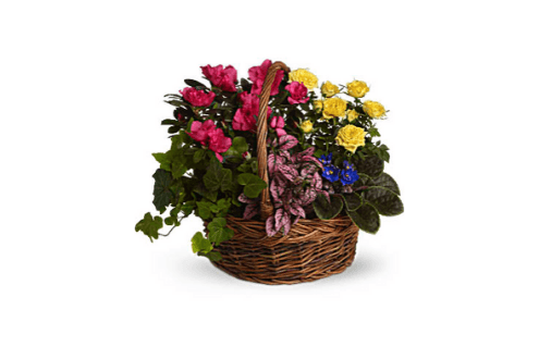 Blooming Garden Basket