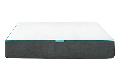 The Sleepenvie Mattress