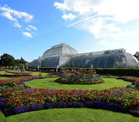 Visit to Kew Gardens and Palace for Two