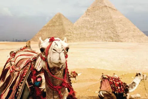 Middle East and North Africa