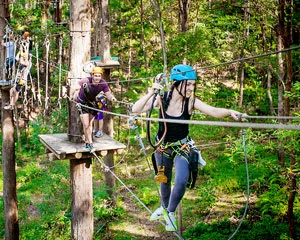Flying Fox High Ropes Adventure Park