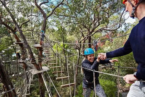 Tree Surfing Grand Course