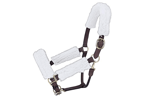 Intrepid International Halter Fleece Set