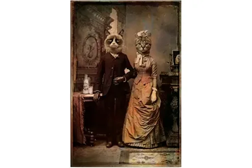 Ddiarte 'cat couple' canvas art - 12