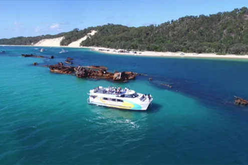 Moreton Bay Marine Park Dolphin Cruise Including Lunch