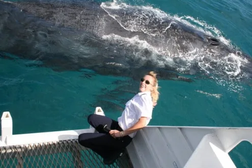 VIP Whale Watching Cruise