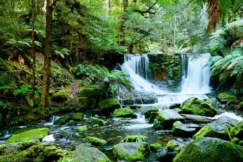Bonorong Wildlife Sanctuary and Richmond with Tasmanian Mountain Stops