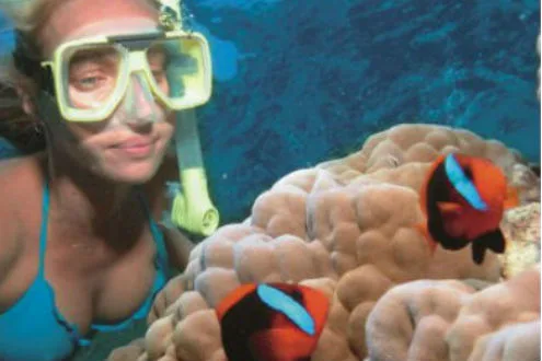 Wave Break Island Snorkel Tour on the Gold Coast