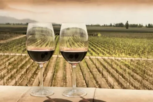 Half-Day Wineries Tour with Wine Tasting