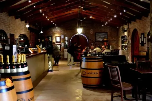 Cape Winelands Half Day Tour from Cape Town