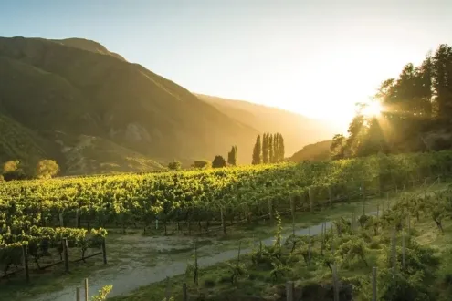 Gibbston Valley Wine Tasting Tour from Queenstown