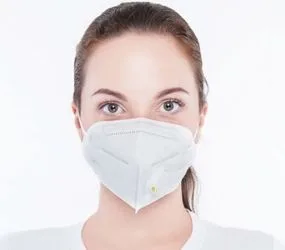 3 x N95 Face Masks