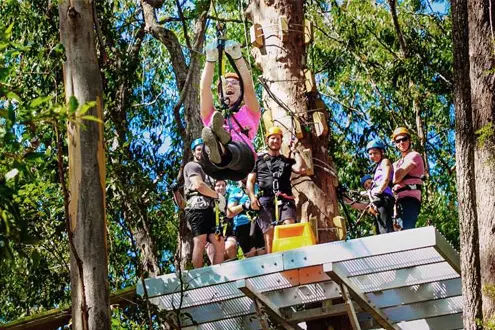 Hinterland Zip Line Tour with 4WD Experience