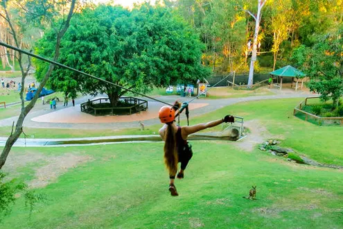 Zipline Adventure at Currumbin Wildlife Sanctuary